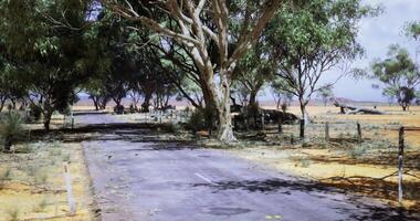 CGI Wide view of a dusty road lined with trees in a remote desert landscape video