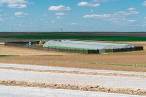 A large greenhouse in the field is enclosed by a wooden fence. photo
