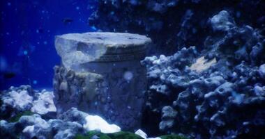 CGI Ancient underwater relic among coral in a vibrant ocean setting video