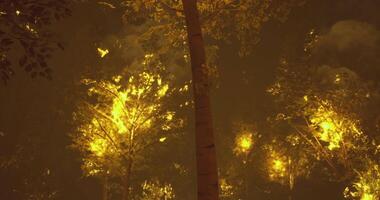 CGI Forest engulfed in flames during a destructive wildfire event at dusk video