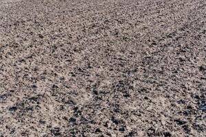 Agricultural plowed field, soil texture. Field after winter. View of the land prepared for planting and growing crops photo