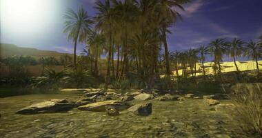 CGI Serene oasis with palm trees and rocks under a twilight sky video