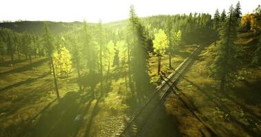 CGI Sunlight streaming through trees near abandoned railway track in forest video