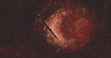 CGI Mysterious red light illuminating forest path at dusk in a secluded area video