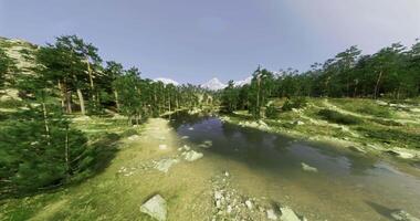 CGI Tranquil forest landscape with a serene river and mountains in the distance video