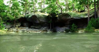 CGI Scenic view of a serene river surrounded by lush forest greenery video
