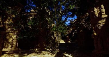 CGI Exploring ancient ruins surrounded by lush foliage in bright daylight video