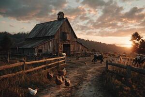 A barn and chickens in the country at sunset photo