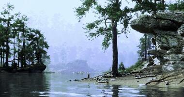 CGI Calm river bank surrounded by trees and rocks in misty morning light video