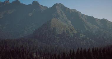 CGI Breathtaking mountain landscape with towering peaks and lush forests video