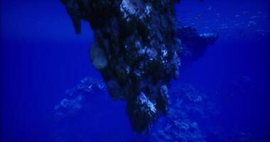 CGI Underwater rock formation surrounded by marine life in vibrant blue waters video