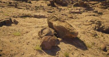 CGI Stones scattered across a dry desert landscape with sparse plants video