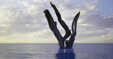 CGI Dried tree branches protruding from calm water under cloud filled sky video