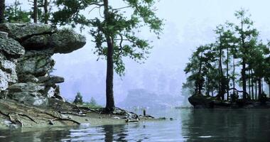 CGI Tranquil lakeside landscape with rocks and trees in morning mist video