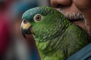 A man holding a green parrot on his shoulder photo