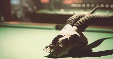 CGI Decorative goat skull on a billiard table displaying vintage ambiance video