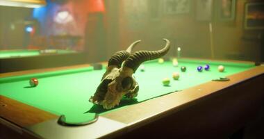 CGI Unique decor in a lively bar with a pool table and a skull centerpiece video