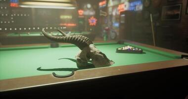 CGI Indoor pool hall featuring a unique decoration with a skull in focus video