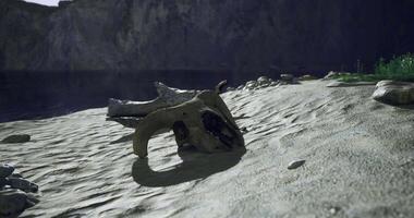 CGI Skeletal remains on sandy shore with rocky backdrop and water reflection video