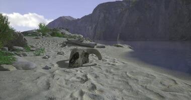 CGI Deserted beach with a skull and rocky cliffs under blue sky video