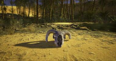 CGI Desert landscape featuring a ram skull on sandy ground near water video