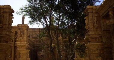 CGI Ruins of ancient temple with a large tree under bright sunlight video