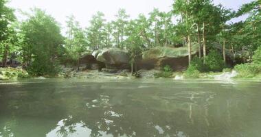 CGI Scenic view of a tranquil lake surrounded by lush forest and rocky formations video