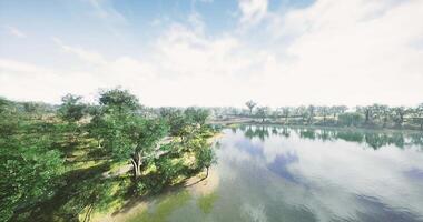 CGI Beautiful park with a serene lake and walking paths surrounded by trees video