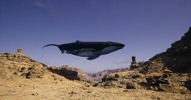 CGI Humpback whale breaching above desert landscape in surreal setting video