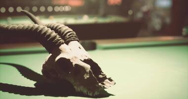 CGI Unique pool hall decoration featuring a skull with impressive horns video