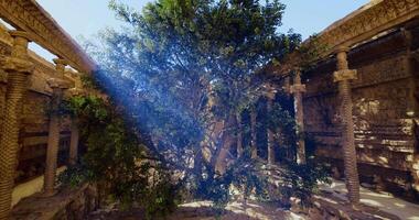 CGI Intricate ancient architecture with a large tree in a sunlit courtyard video