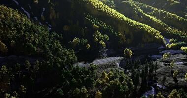 CGI Daylight view of rolling hills, vibrant trees, and a winding road video