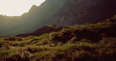 CGI Sunset over grassy hills with mountain backdrop in tranquil landscape video
