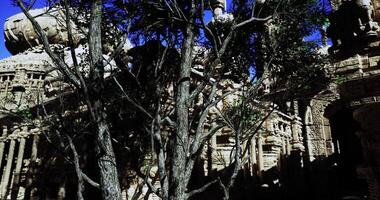 CGI Exploring ancient stone architecture amidst trees and blue sky video