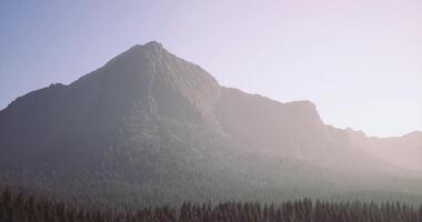 CGI Mountains and mist blend during sunrise in a serene forest landscape video