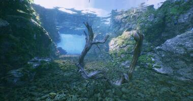 CGI Underwater landscape with submerged rocks and driftwood in serene environment video