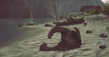 CGI Ancient artifact resting on sandy shore at rivers edge during twilight video