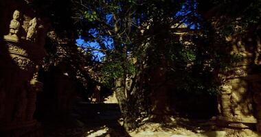 CGI Exploring ancient ruins surrounded by lush greenery and sunlight video