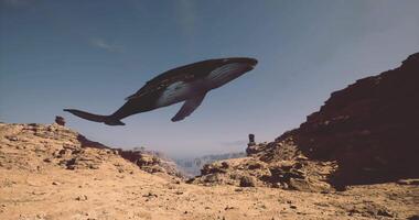 CGI Whale soaring over rocky landscape in tranquil mountain setting video