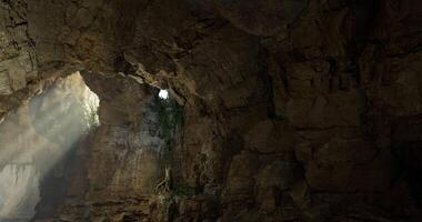 CGI Natural light filters into a cavern revealing lush greenery in the distance video