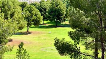 A breathtakingly scenic view of a vast golf course featuring tall trees and a vibrant, lush green grass photo