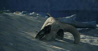 CGI Exploration of ancient remains near a mystical landscape in twilight video