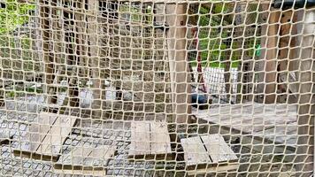 A wooden playground structure with a net on it photo