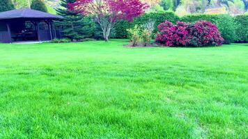 A lawn with a gazebo in the middle of it photo