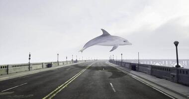 CGI Dolphin gracefully leaps above an empty city street on a cloudy day video