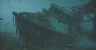 CGI Sunken shipwreck resting on the ocean floor captivates underwater explorers video