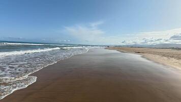Imagine a tranquil beach scene showcasing soft golden sand along with gentle ocean waves beneath a bright sky photo