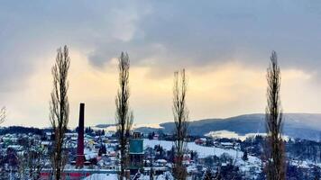 A tranquil winter scene showcasing tall trees alongside an industrial factory set within a snowy landscape photo