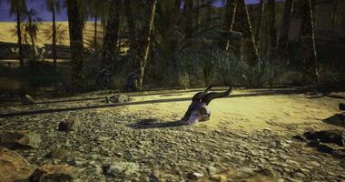 CGI Desert snake slithering across sandy terrain during twilight hours video