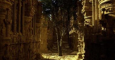 CGI Ancient temple ruins with tree basking in sunlight during golden hour video